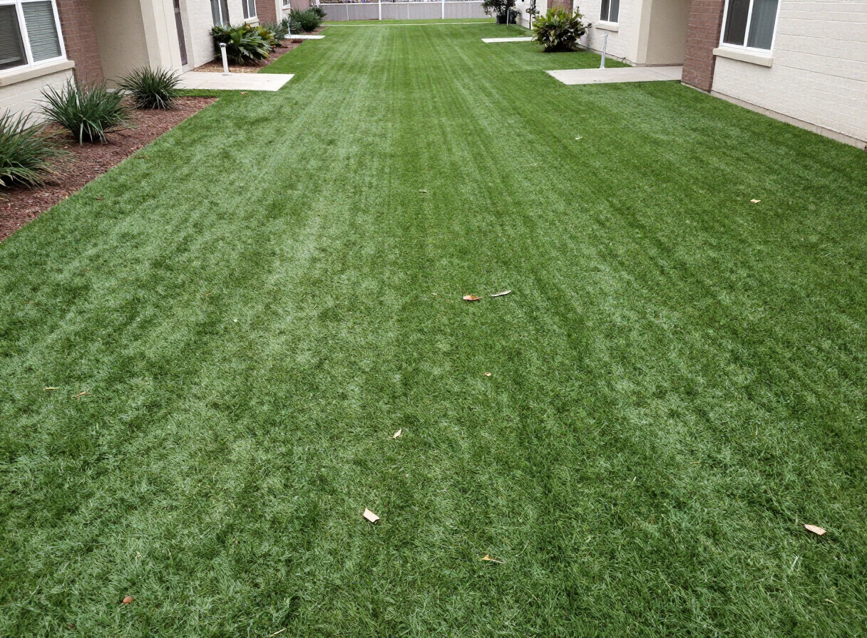 Apartment community courtyard — Spring, TX — before