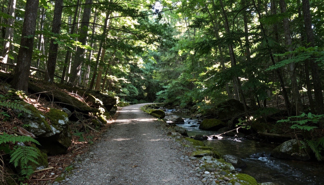 El New River Trail de piedra triturada junto a Chestnut Creek en Cliffview, cerca de Galax, Virginia, con árboles que se arquean sobre el sendero