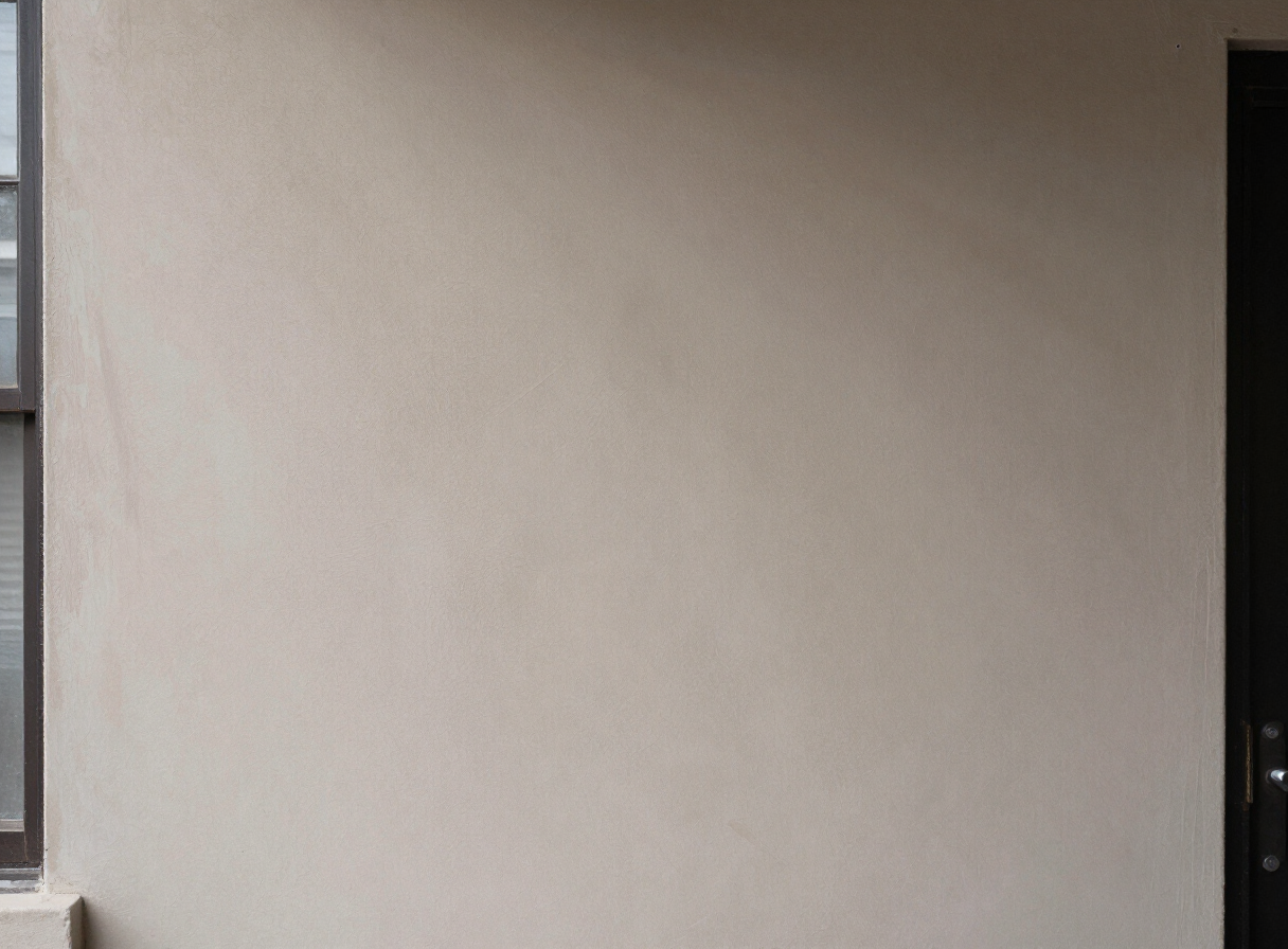 Sanded plaster wall ready for primer in a Hoboken NJ brownstone
