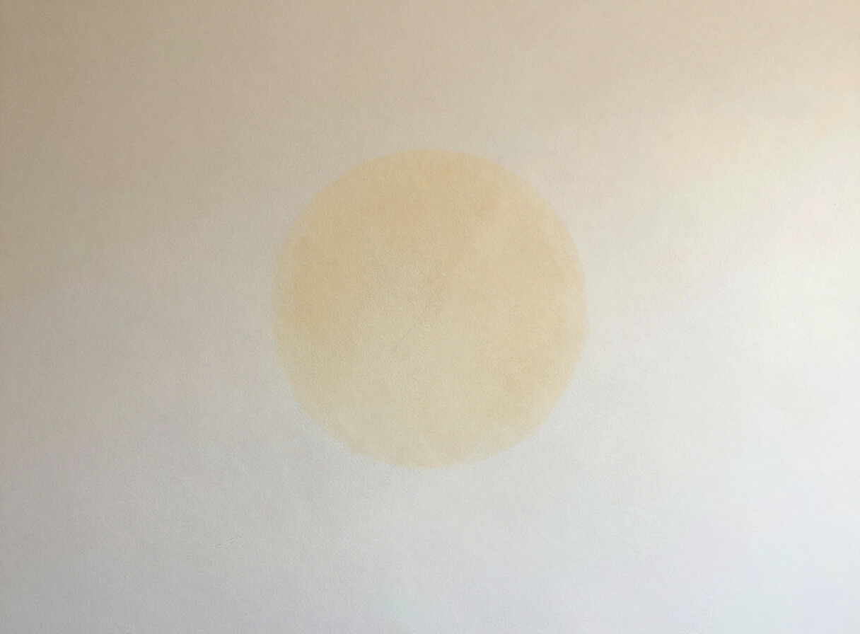 Water stain on a wall in a Hoboken NJ home