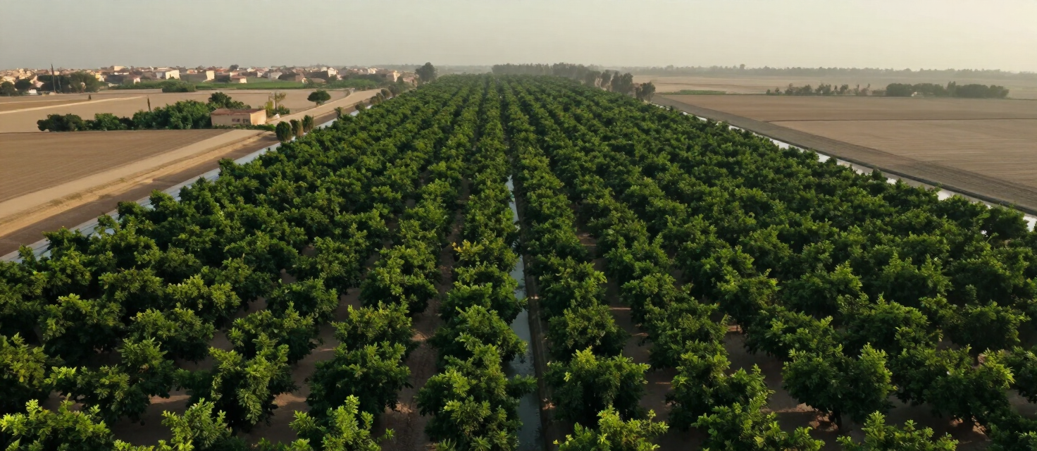 Landwirtschaftliche Anbauflächen im ägyptischen Nildelta