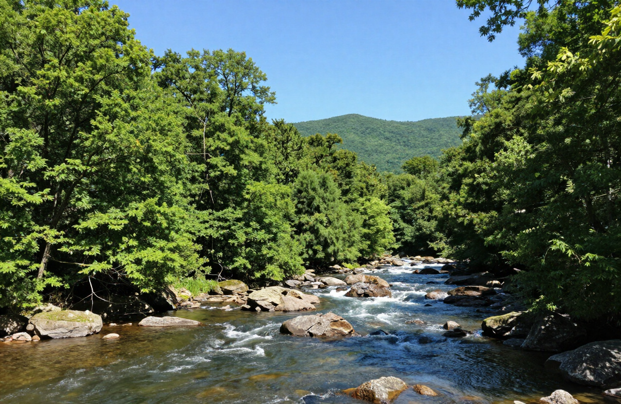 El New River en verano con orillas boscosas de verde exuberante y agua clara fluyendo sobre rocas bajo un cielo azul